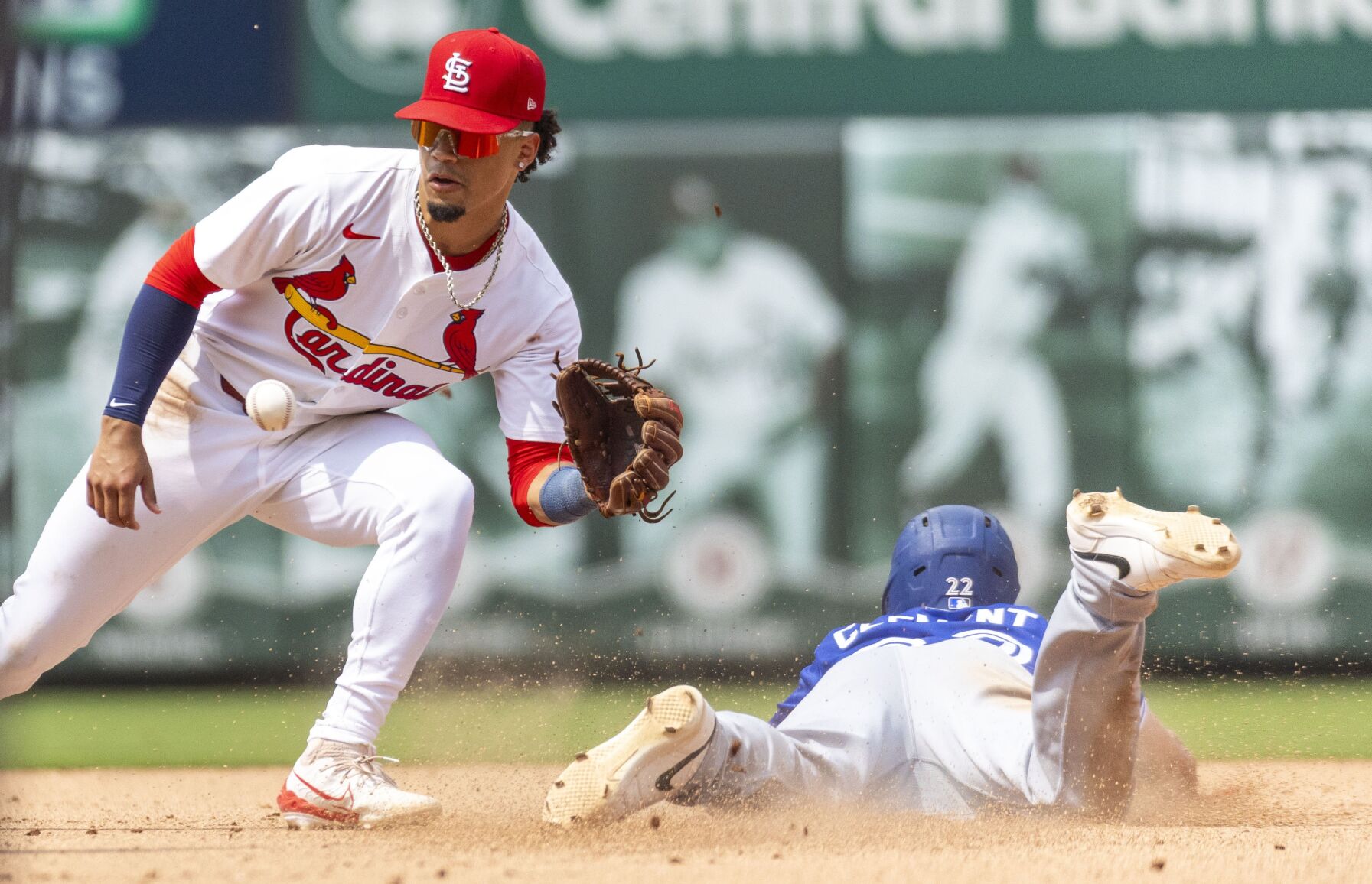 51黑料 Cardinals host Blue Jays